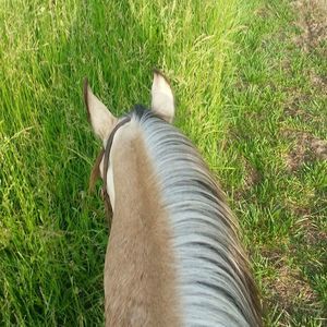 Meet your Posher, Tracy